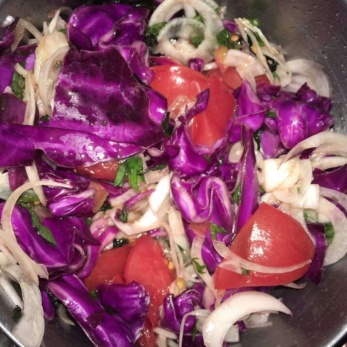 紫キャベツの鮮やかな食卓彩りサラダ